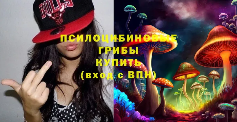 цена   Гремячинск  дарк нет формула  Псилоцибиновые грибы Magic Shrooms 